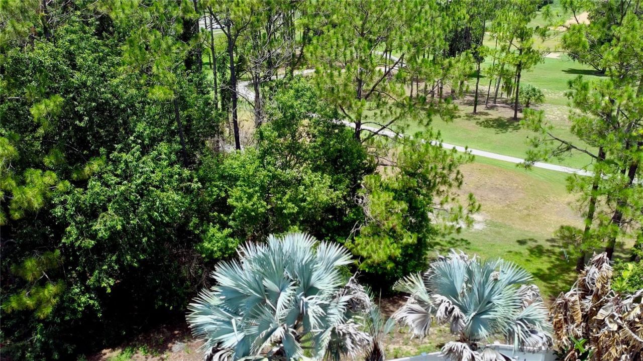 2067 Braxton Street, Clermont, FL 34711 Photo
