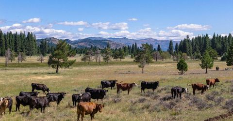 22440 Ca-89, Calpine, CA 96124 Photo
