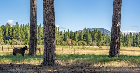 22440 Ca-89, Calpine, CA 96124 Photo