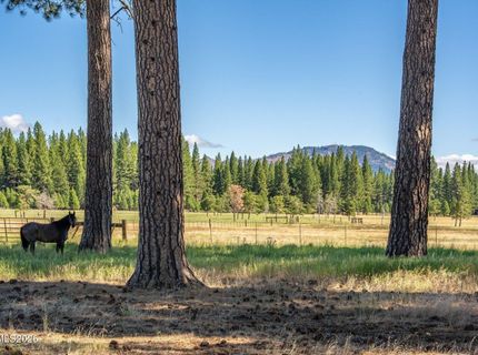 22440 Ca-89, Calpine, CA 96124 Photo
