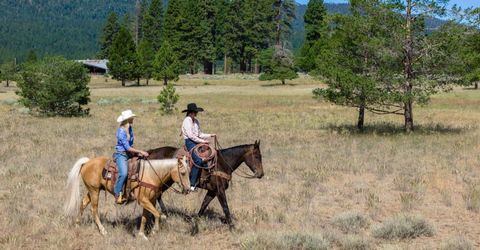 22440 Ca-89, Calpine, CA 96124 Photo