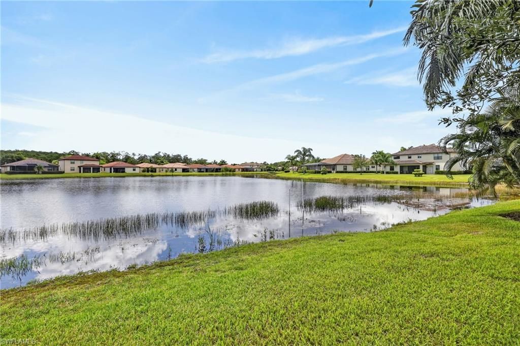 10975 Longwing Dr, Fort Myers, FL 33912 Photo