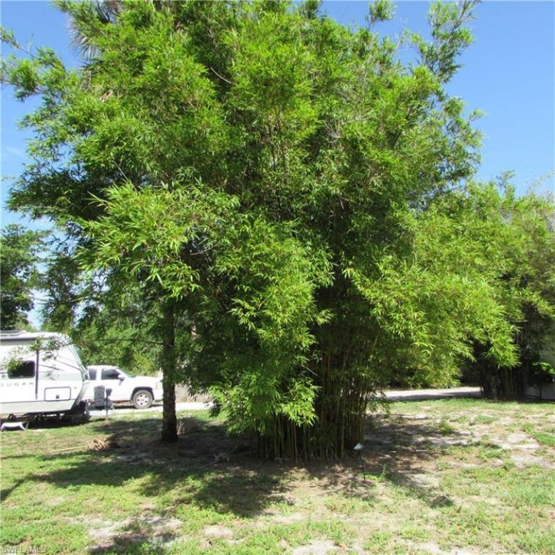 16121 Tortuga St, Bokeelia, FL 33922 Photo