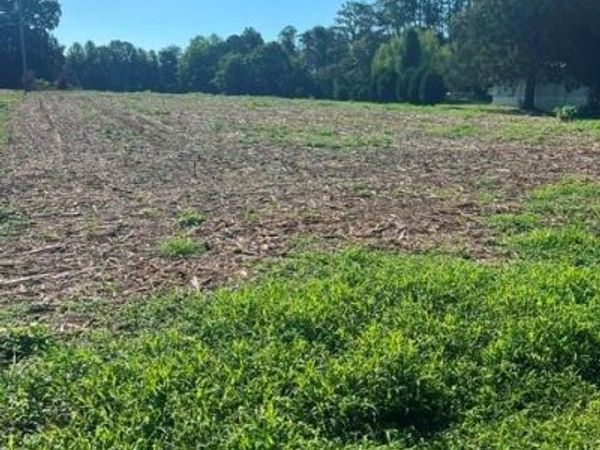 1038 Willard Drive , Yadkinville, NC 27055