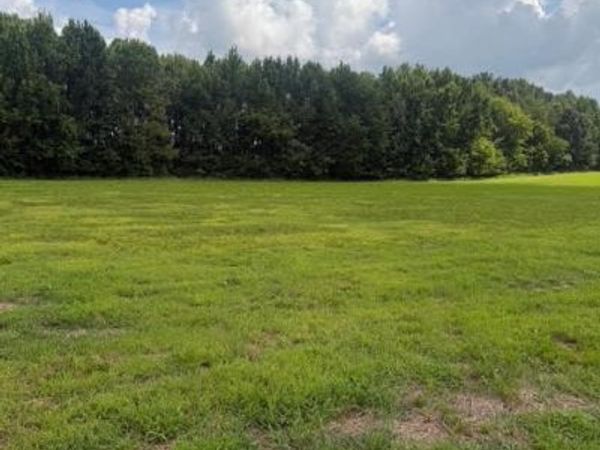 0 Friendship Road, Cross Plains, TN 37049
