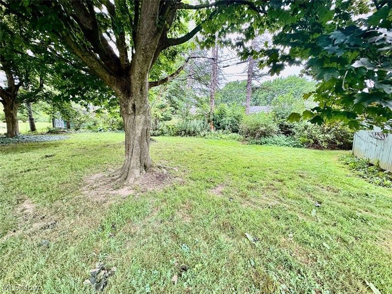 2523 57th Street NE, Canton, OH 44721 Photo 6