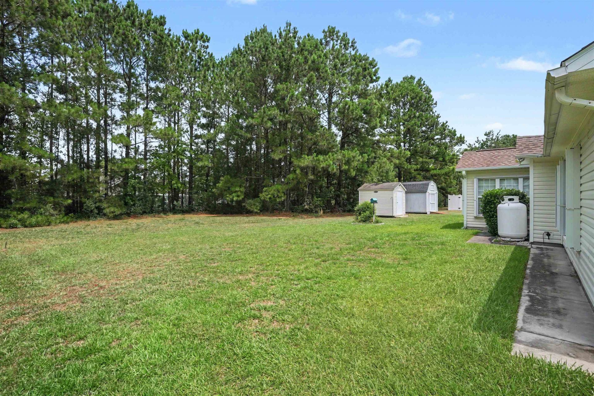 668 Wintercreeper Dr.  Photo 25