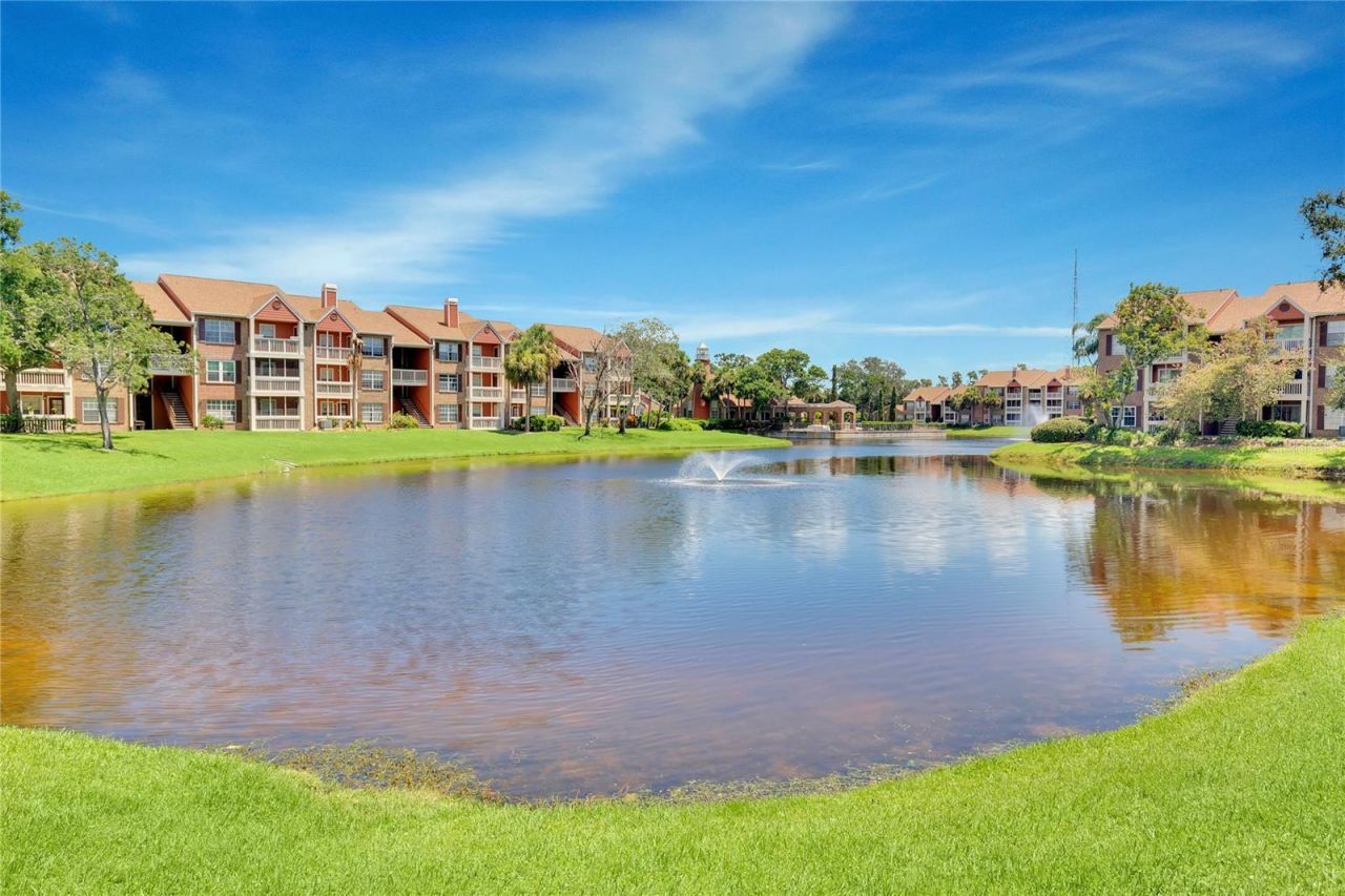 10200 Gandy Boulevard N, Unit 705, Saint Petersburg, FL 33702 Photo