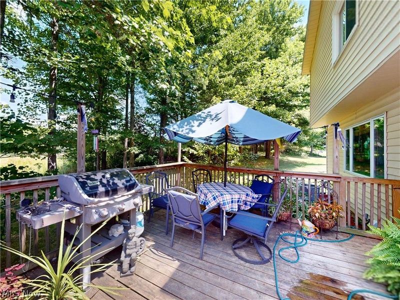 32145 Sedgefield Oval, Solon, OH 44139 Photo 43