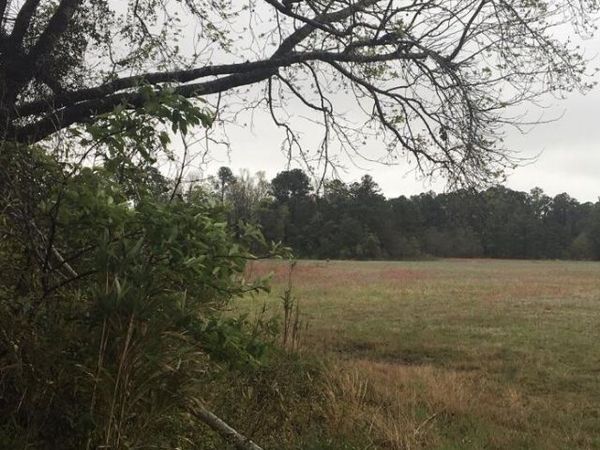 31.31 Ac Atlantic Breeze Drive , North Myrtle Beach, SC 29582