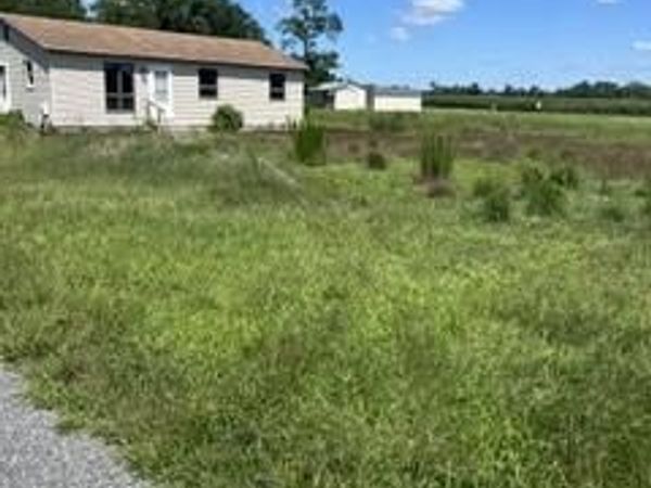 5146 RHODESDALE VIENNA ROAD, VIENNA, MD 21869