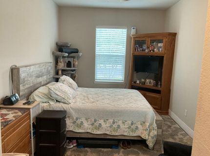1242 Shady Pines St, Manteca, CA 95336 Photo