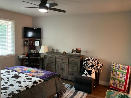 1242 Shady Pines St, Manteca, CA 95336 Photo