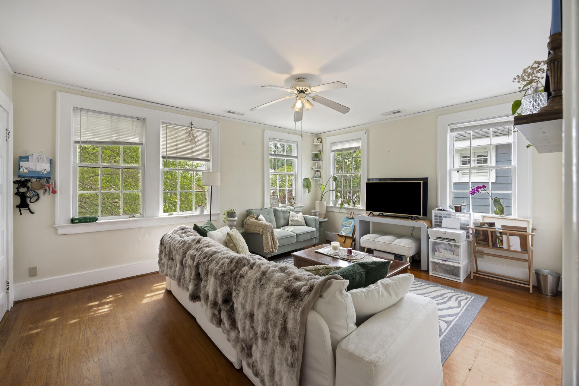 11 Smith Street Photo 33