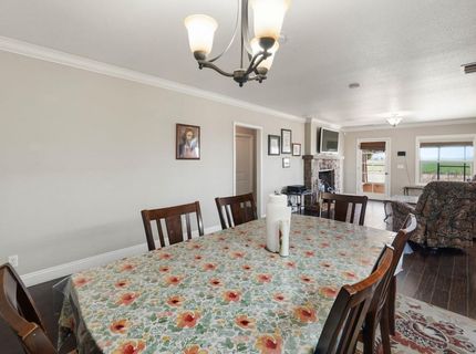 7450 County Road 95, Woodland, CA 95695 Photo