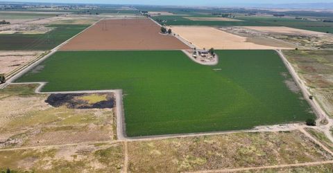 7450 County Road 95, Woodland, CA 95695 Photo