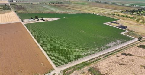 7450 County Road 95, Woodland, CA 95695 Photo