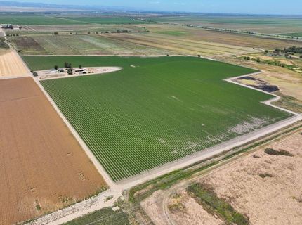 7450 County Road 95, Woodland, CA 95695 Photo