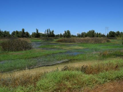 7450 County Road 95, Woodland, CA 95695 Photo