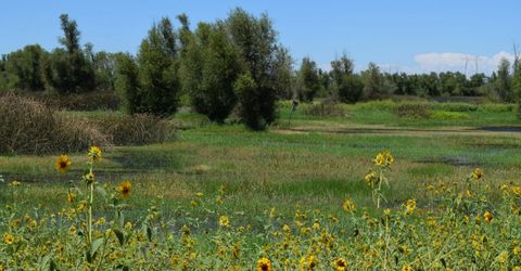 7450 County Road 95, Woodland, CA 95695 Photo