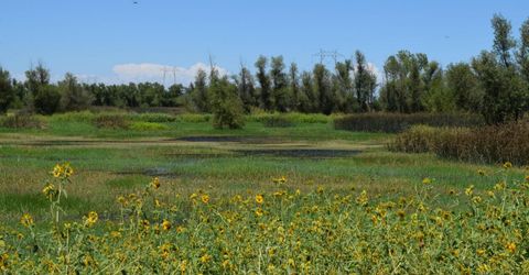 7450 County Road 95, Woodland, CA 95695 Photo