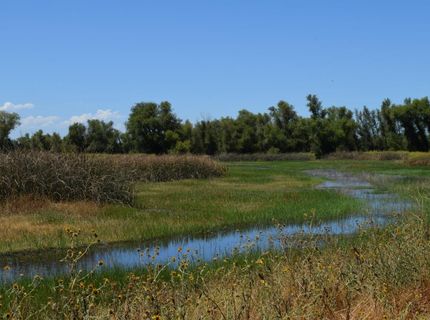 7450 County Road 95, Woodland, CA 95695 Photo