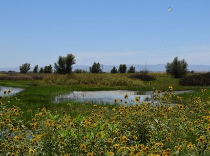 7450 County Road 95, Woodland, CA 95695 Photo