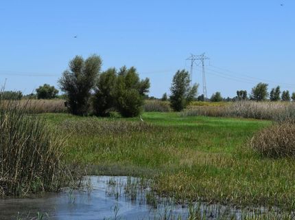 7450 County Road 95, Woodland, CA 95695 Photo