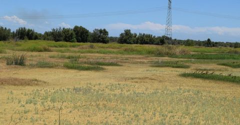 7450 County Road 95, Woodland, CA 95695 Photo