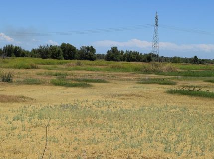 7450 County Road 95, Woodland, CA 95695 Photo