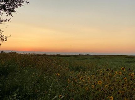 7450 County Road 95, Woodland, CA 95695 Photo