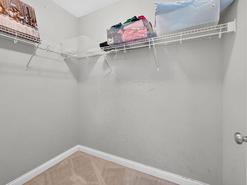 1389 Spagnol Lane, Westerville, OH 43081 Photo 39