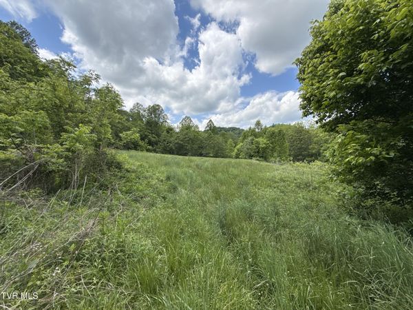 429ac Tbd Fisher Valley Road, Eidson, TN 37731