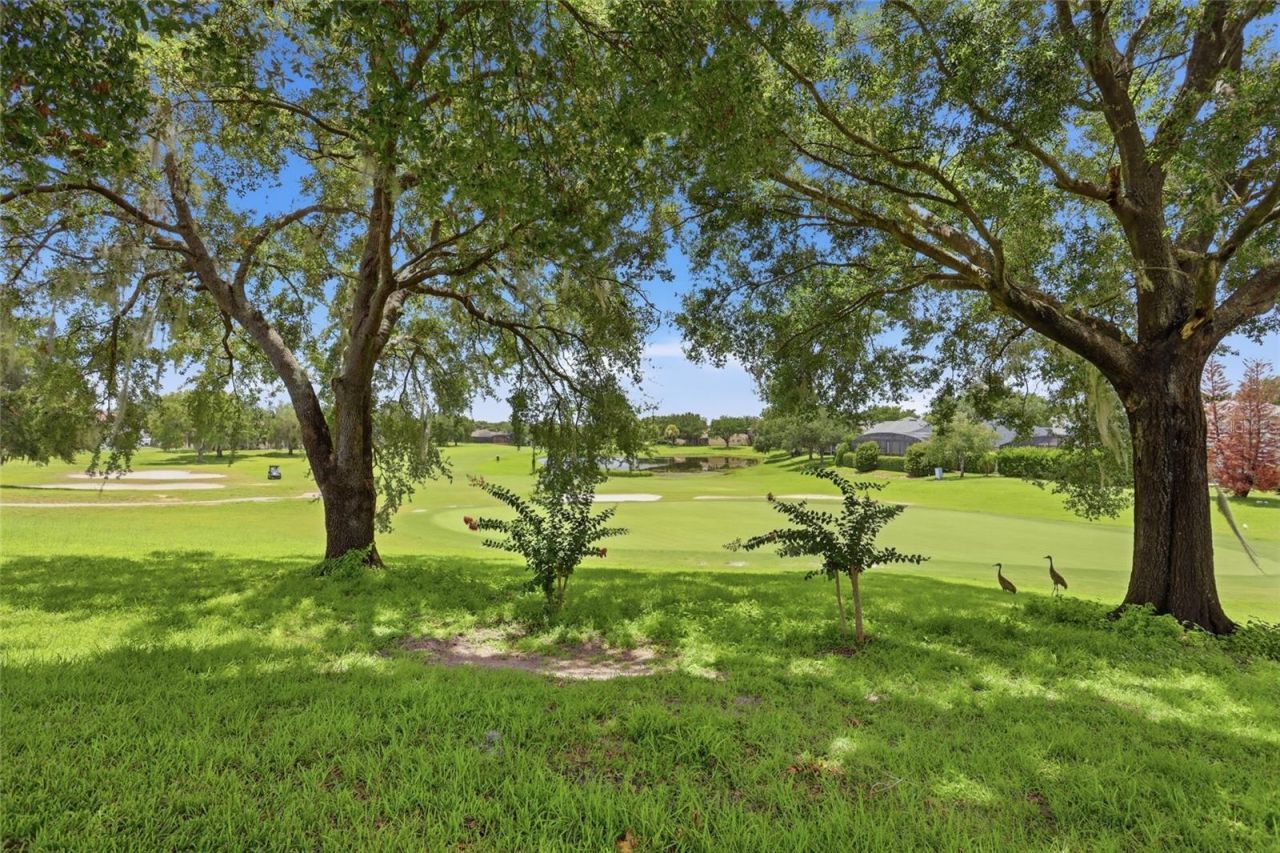 3910 Liberty Hill Drive , Clermont, FL 34711 Photo