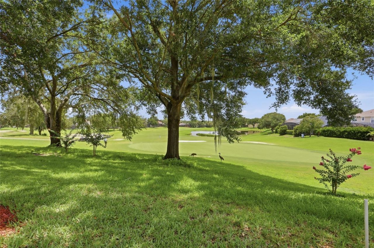 3910 Liberty Hill Drive , Clermont, FL 34711 Photo
