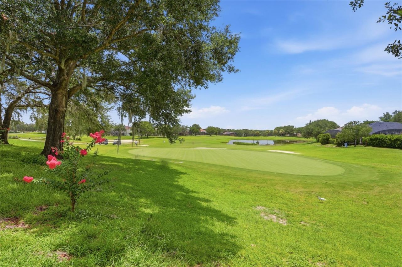 3910 Liberty Hill Drive , Clermont, FL 34711 Photo