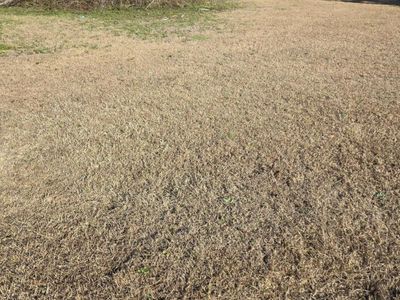 0 Bass Drive, Holly Hill, SC 29059