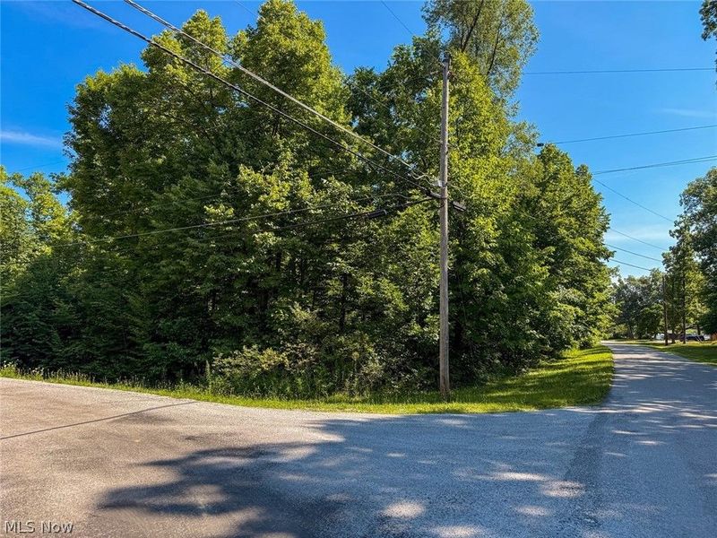Maderia Drive, West Salem, OH 44287 Photo 8