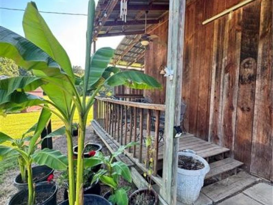 Property Image 67