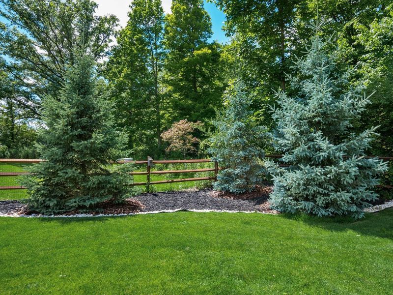 7110 Scarlet Oak Drive, Hilliard, OH 43026 Photo 56
