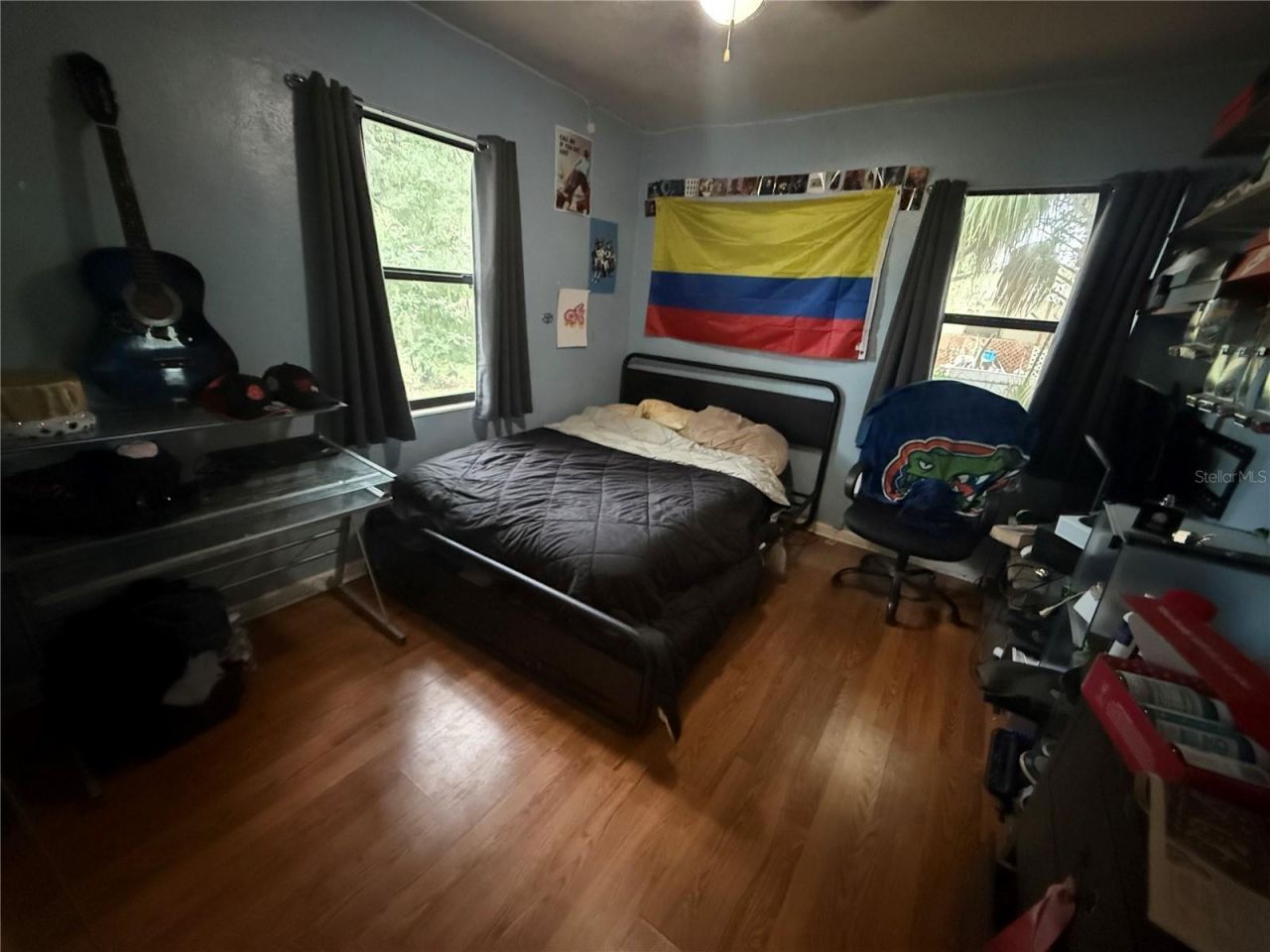 1435 Triangle Drive, Mount Dora, FL 32757 Photo