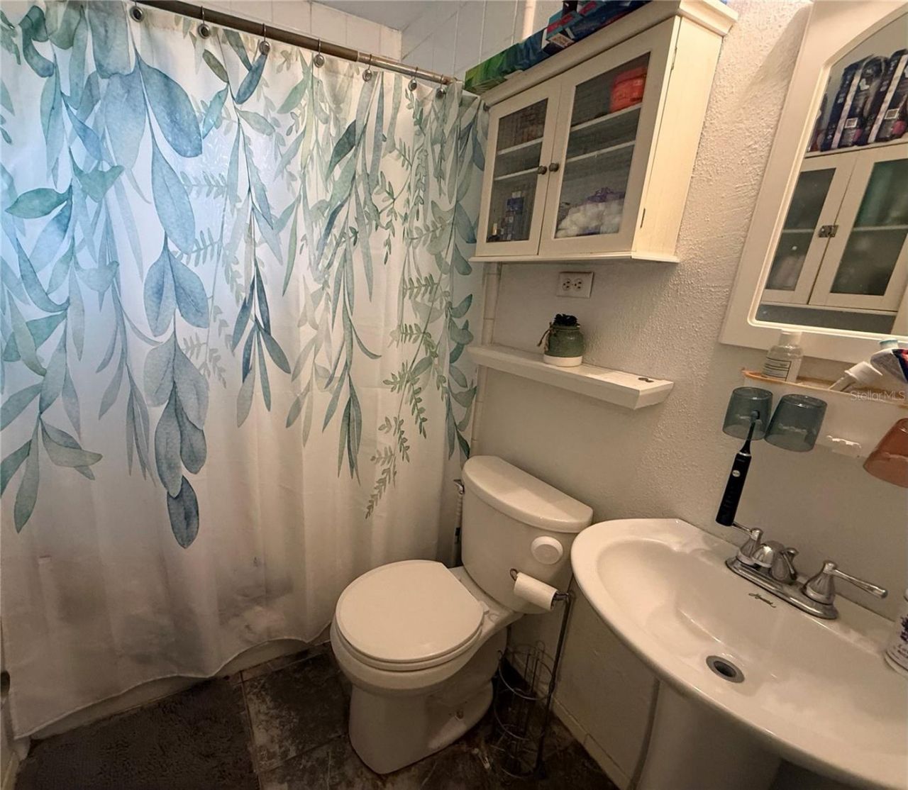 1435 Triangle Drive, Mount Dora, FL 32757 Photo