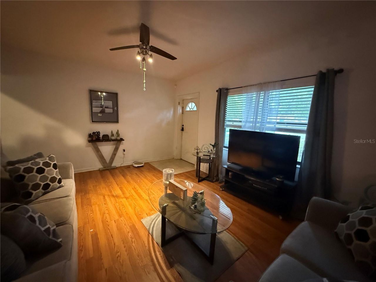 1435 Triangle Drive, Mount Dora, FL 32757 Photo