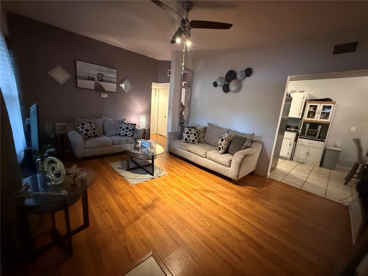 1435 Triangle Drive, Mount Dora, FL 32757 Photo