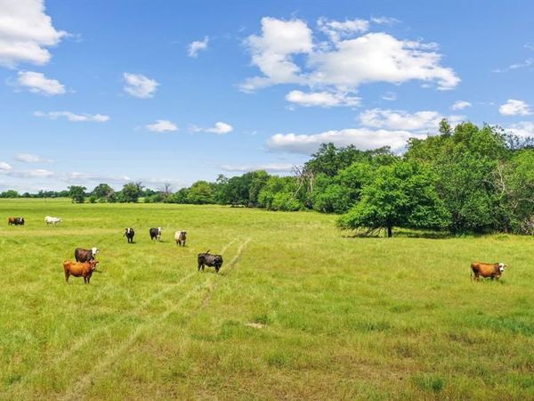 1080 Grand Oaks Ranch Road , Greenville, TX 75401