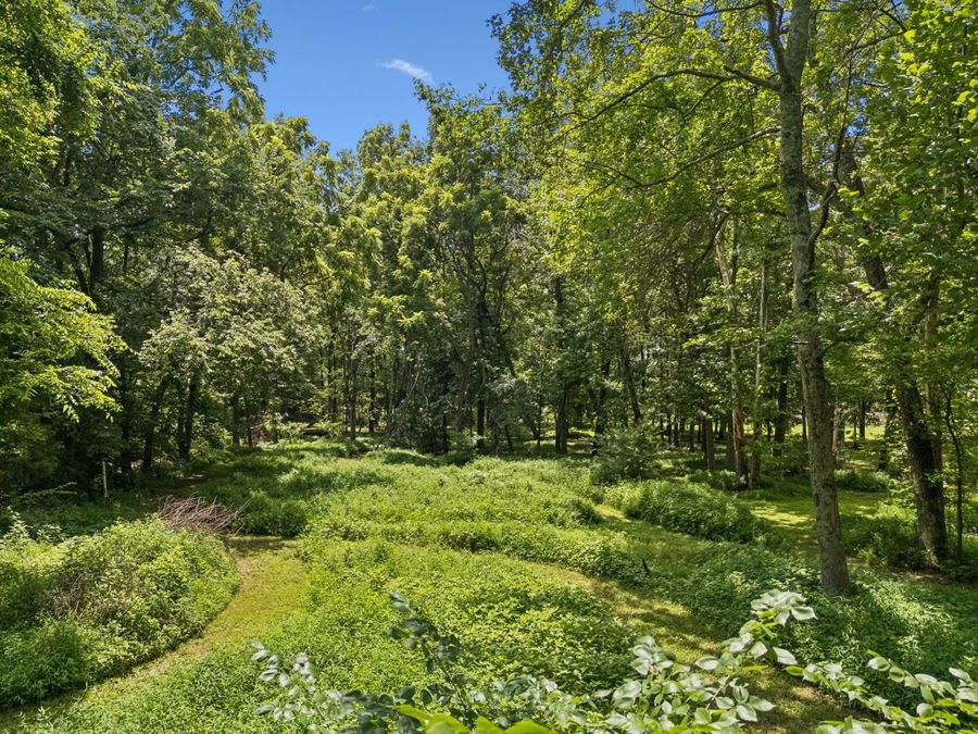 Property Image 61