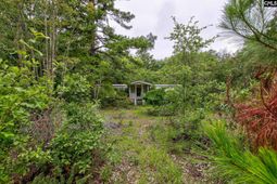 1326 Colie Branham Road  photo 4