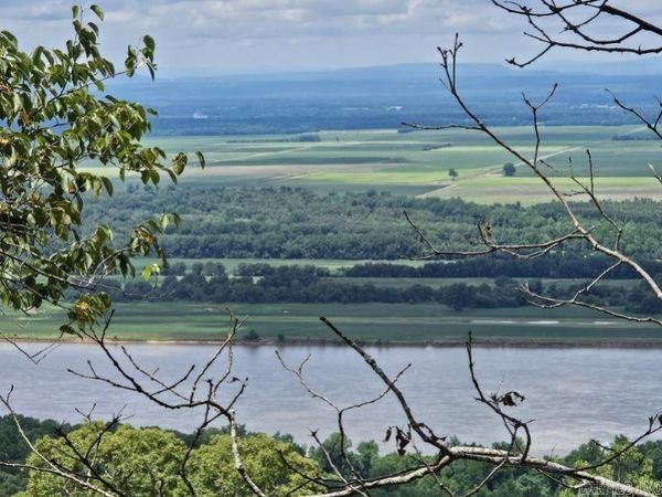 160 Acres America Road, Morrilton, AR 72110