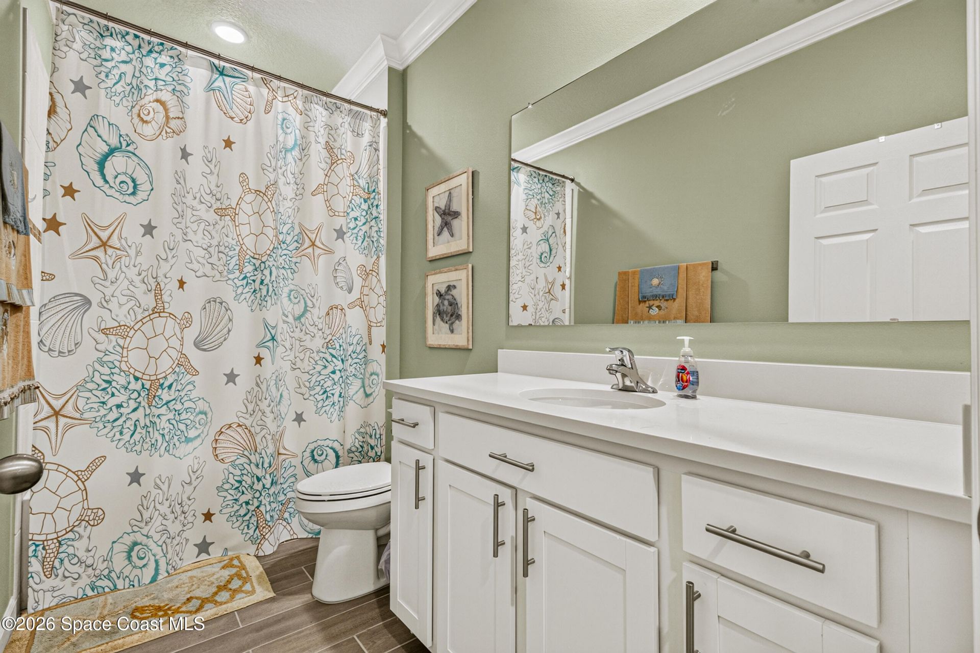6691 Cameo Drive, Grant, FL 32949 Photo