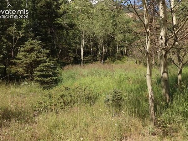 208 Coffee Road, Manitou Springs, CO 80829